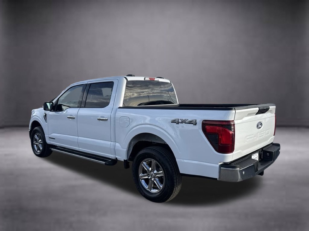 Used 2025 Ford F150 XLT w/ Equipment Group 301A Standard AWD/4WD image 6