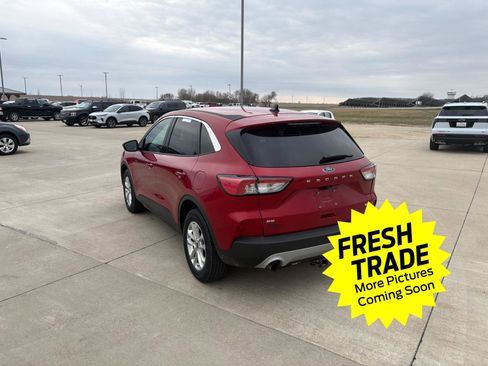 Used 2020 Ford Escape SE image 4