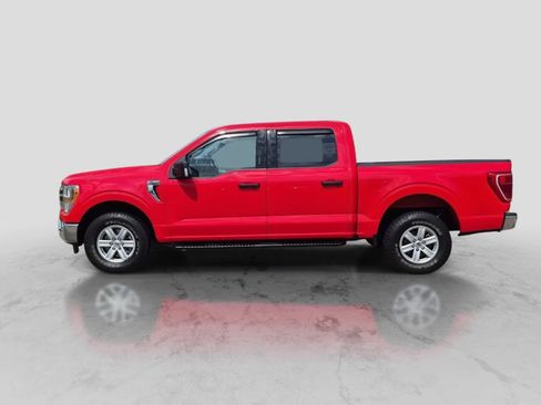 Used 2021 Ford F150 XLT w/ Equipment Group 301A Mid AWD/4WD image 5