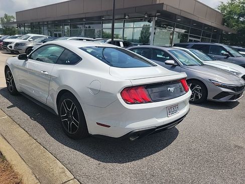 Used 2019 Ford Mustang Premium RWD image 4
