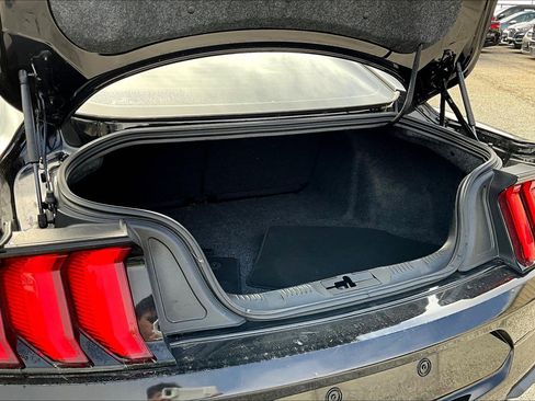 Used 2020 Ford Mustang EcoBoost w/ Equipment Group 101A image 18