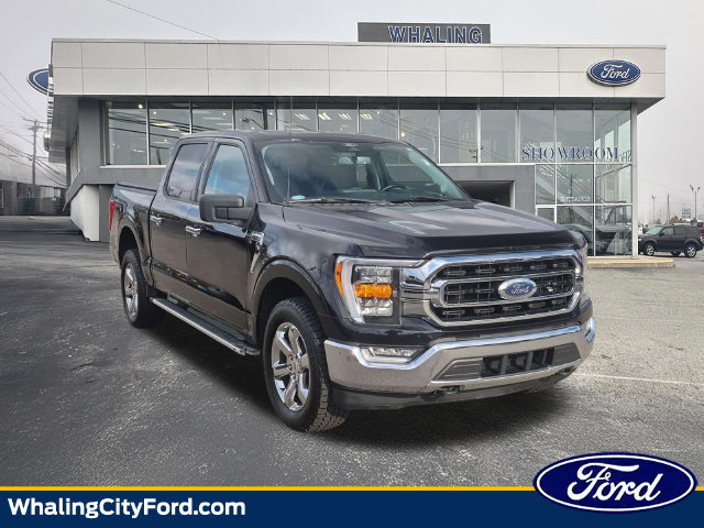 Used 2022 Ford F150 XLT w/ Equipment Group 302A High AWD/4WD image 1