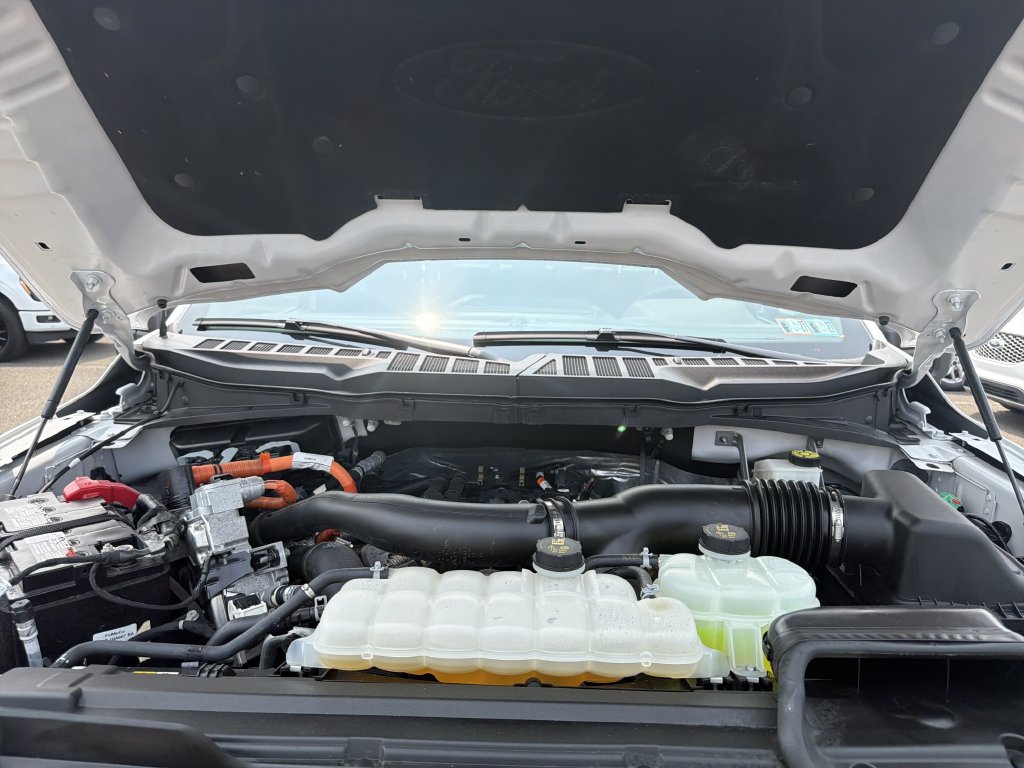 Used 2024 Ford F150 XLT w/ Equipment Group 302A MID AWD/4WD image 35