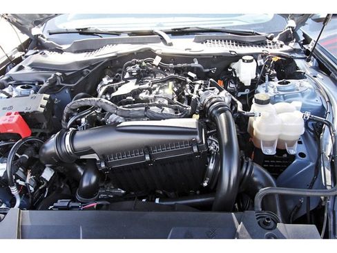 Used 2024 Ford Mustang Coupe w/ Mustang Nite Pony Package image 29