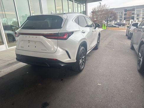 Used 2024 Lexus NX 250 FWD w/ Cold Area Package image 4