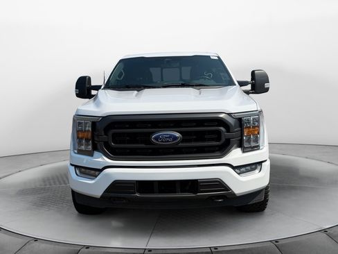 Used 2023 Ford F150 XLT w/ Equipment Group 302A High AWD/4WD image 7