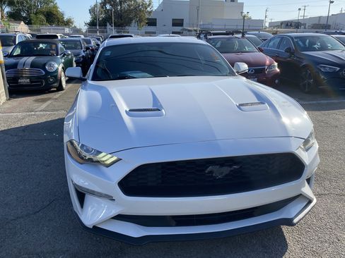 Used 2019 Ford Mustang Coupe RWD image 3