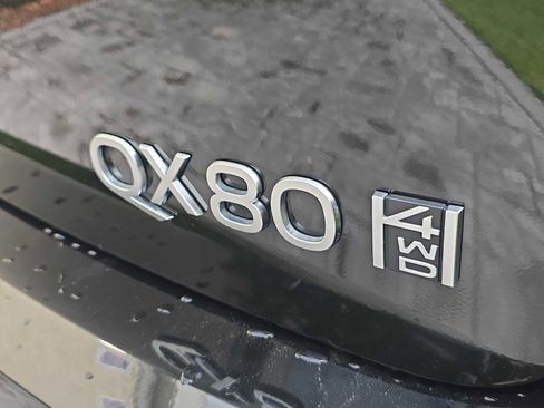Certified 2025 INFINITI QX80 Sensory image 6