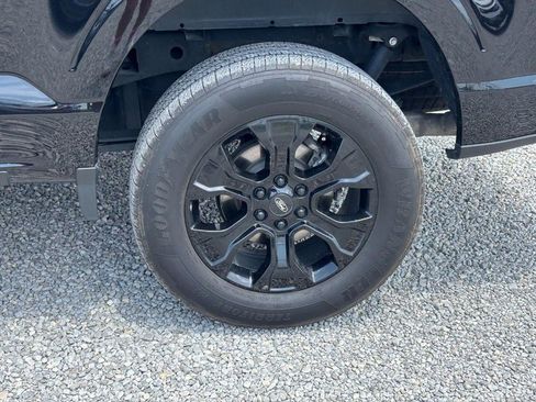 Used 2023 Ford F150 XLT w/ Equipment Group 302A High AWD/4WD image 12