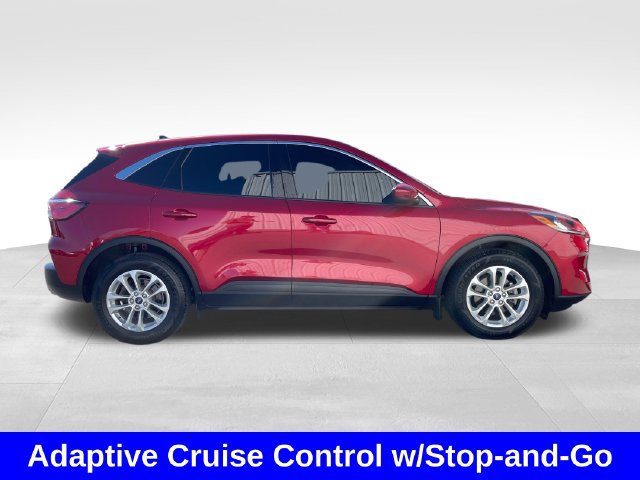 Used 2020 Ford Escape SE FWD image 6