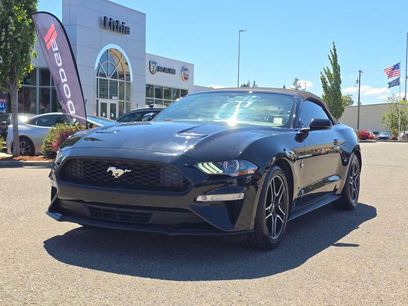Used 2019 Ford Mustang Premium