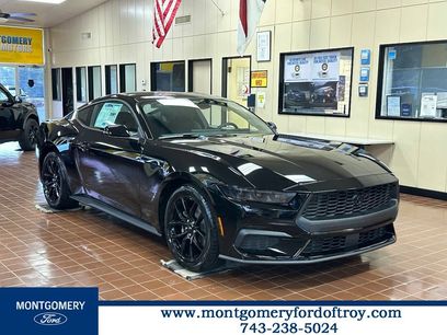 New 2026 Ford Mustang Coupe w/ Mustang Nite Pony Package