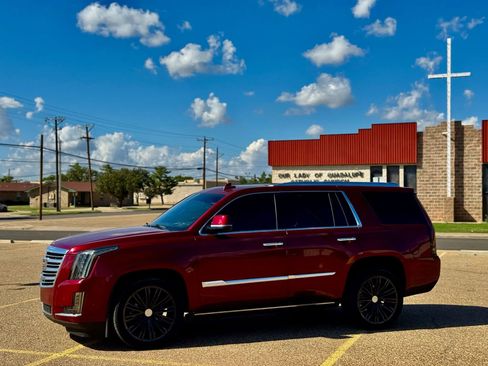 Used 2017 Cadillac Escalade Platinum image 8