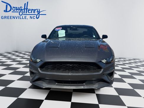 Used 2021 Ford Mustang EcoBoost w/ Equipment Group 101A image 8
