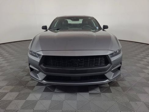 Used 2024 Ford Mustang Premium w/ Mustang Nite Pony Package RWD image 8