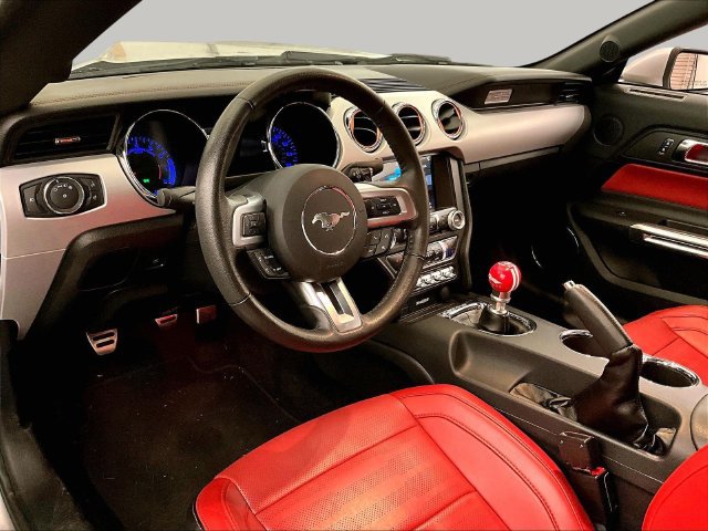 Used 2017 Ford Mustang GT Premium w/ Equipment Group 401A RWD image 12
