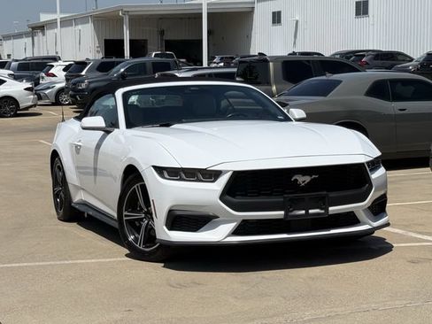 Used 2024 Ford Mustang Premium RWD image 2