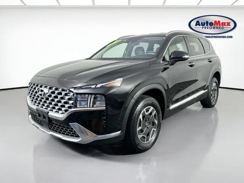 Used 2023 Hyundai Santa Fe Blue AWD/4WD image 4