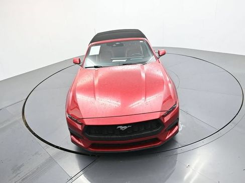 Used 2024 Ford Mustang Premium RWD image 15