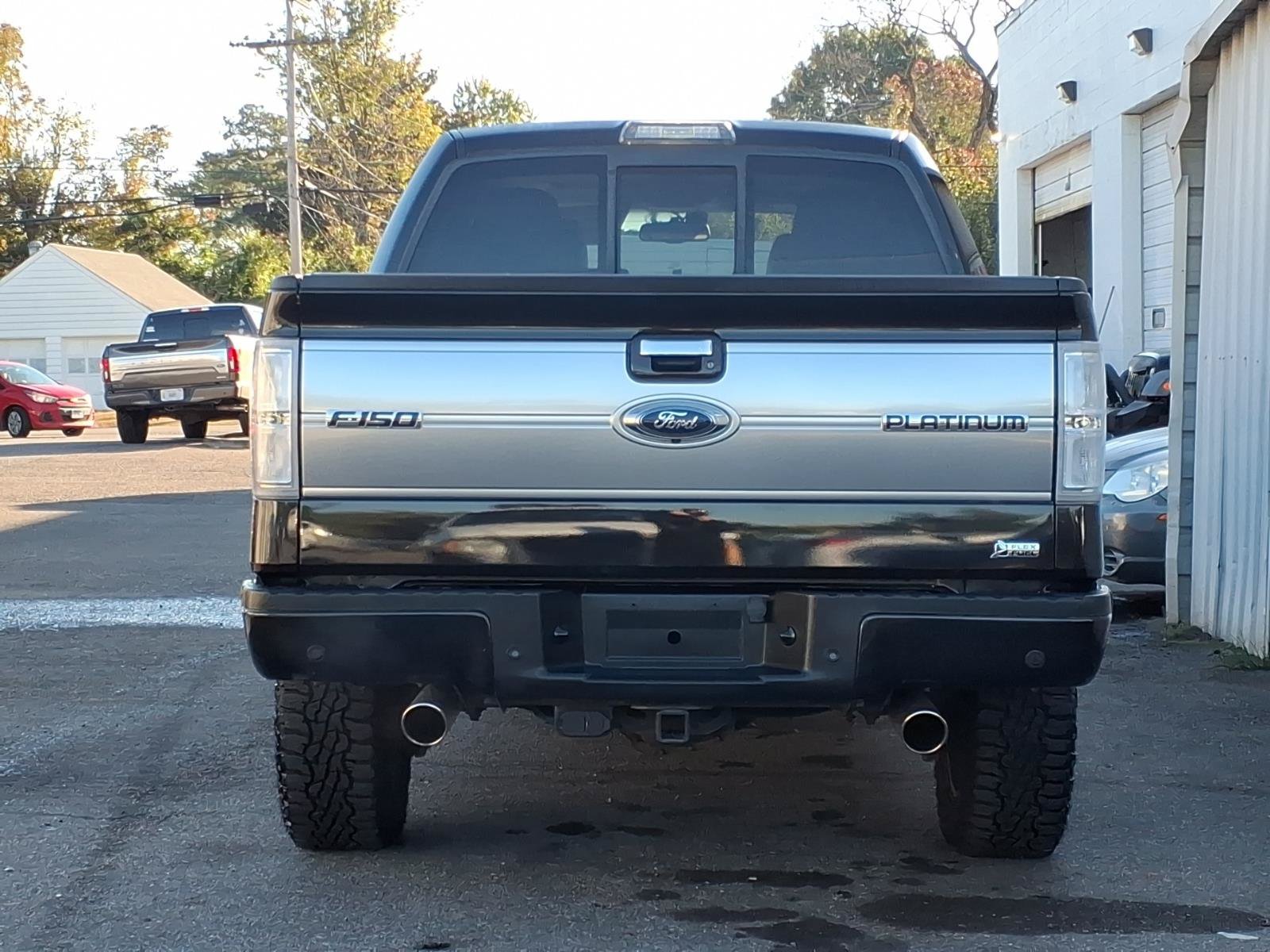 Used 2010 Ford F150 Platinum AWD/4WD image 4