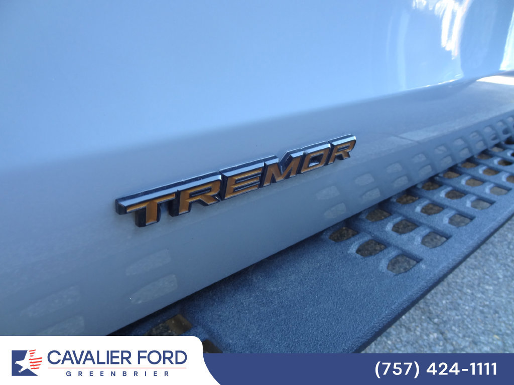 Used 2026 Ford Expedition Tremor AWD/4WD image 16