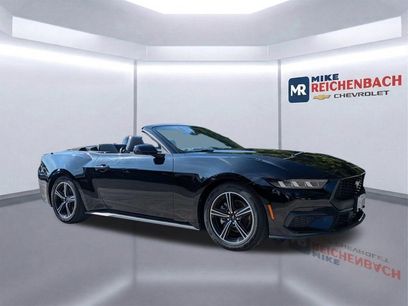 Used 2024 Ford Mustang Premium