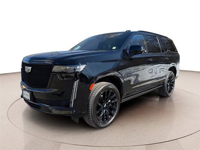 Used 2024 Cadillac Escalade Sport Platinum w/ LPO, ONYX Package