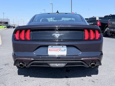 Used 2023 Ford Mustang EcoBoost w/ Equipment Group 101A image 8