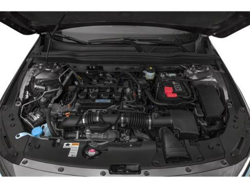 Used 2019 Honda Accord EX-L image 12