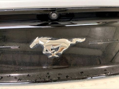 Used 2022 Ford Mustang Premium RWD image 9