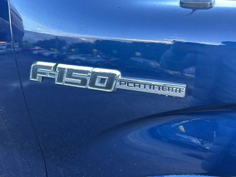 Used 2009 Ford F150 Platinum image 16