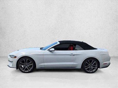 Used 2018 Ford Mustang Premium w/ Equipment Group 201A RWD image 9