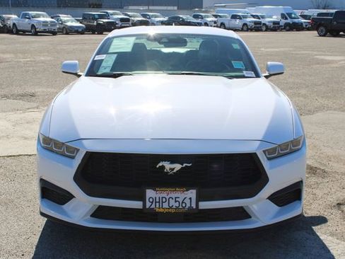 Used 2024 Ford Mustang EcoBoost image 2