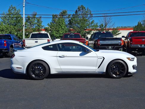 Used 2016 Ford Mustang Shelby GT350 w/ Technology Package image 12