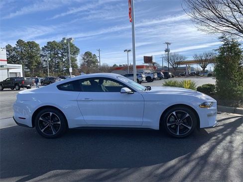 Used 2023 Ford Mustang EcoBoost w/ Equipment Group 101A image 9