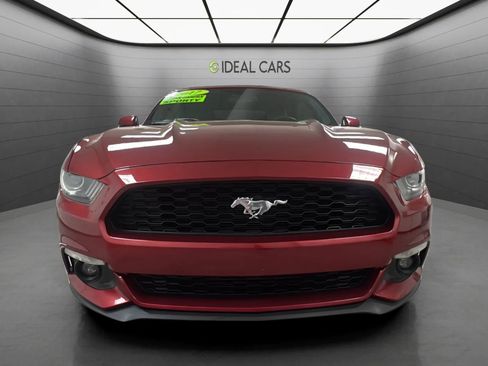 Used 2017 Ford Mustang Premium w/ Equipment Group 201A RWD image 2