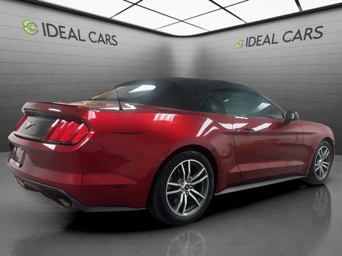 Used 2017 Ford Mustang Premium w/ Equipment Group 201A RWD image 5