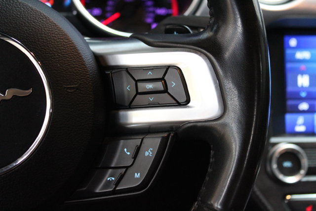 Used 2019 Ford Mustang GT Premium RWD image 15