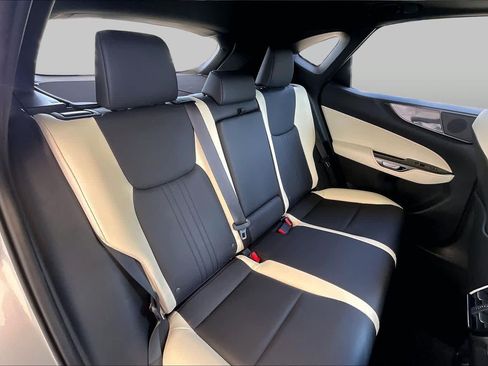 Certified 2024 Lexus NX 250 FWD w/ Cold Area Package image 17