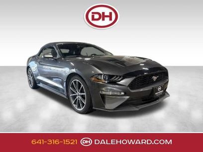 Used 2019 Ford Mustang Premium w/ Equipment Group 201A