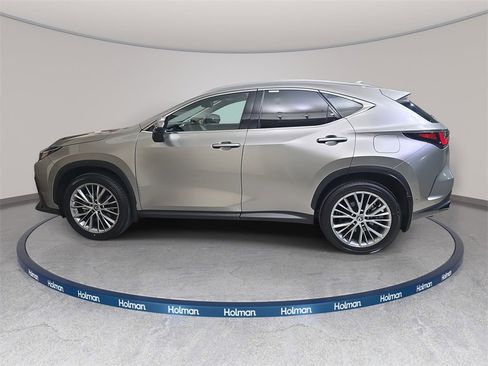 Certified 2025 Lexus NX 300h 350h Luxury image 8