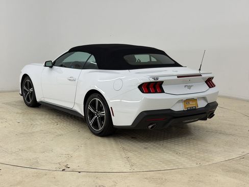 Certified 2025 Ford Mustang Premium RWD image 3