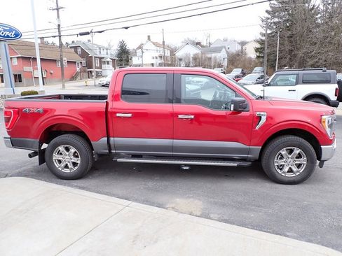 Certified 2021 Ford F150 XLT w/ Equipment Group 302A High image 8