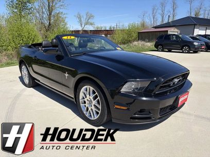 Used 2014 Ford Mustang Premium w/ Equipment Group 202A