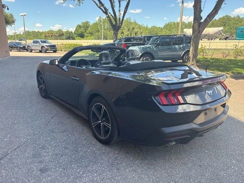 Used 2024 Ford Mustang Premium RWD image 5