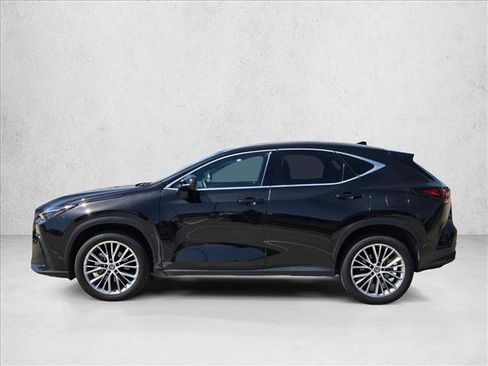 Used 2025 Lexus NX 350h AWD w/ Cold Area Package image 9