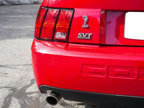 Used 1999 Ford Mustang Cobra image 76