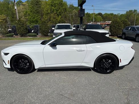 Used 2026 Ford Mustang Convertible w/ Mustang Nite Pony Package image 2
