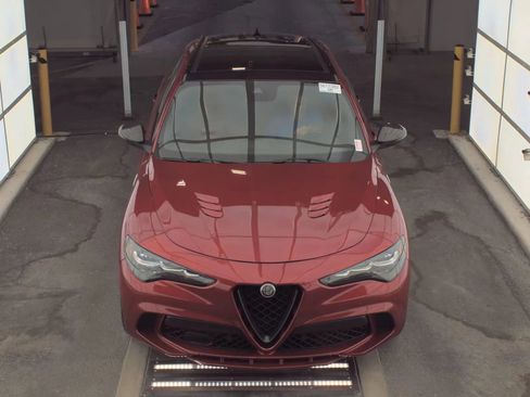 Used 2024 Alfa Romeo Stelvio Quadrifoglio image 2