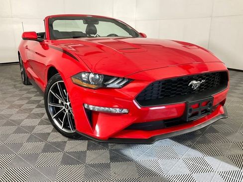 Used 2019 Ford Mustang Premium w/ Equipment Group 201A image 39